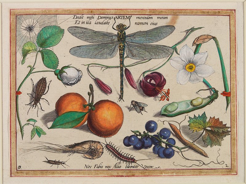 Dedit mihi Dominus Artem mercedem meam Et in illa laudabo nomen eius, Jacob Hoefnagel, 1592