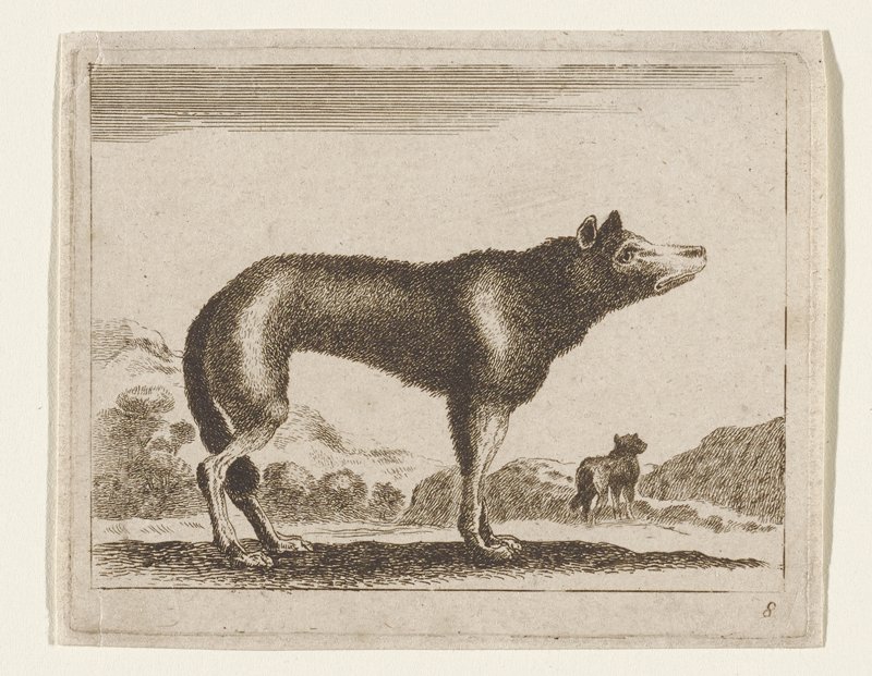 Un Renard Regardant à Gauche, after Stefano della Bella, 17th-18th century