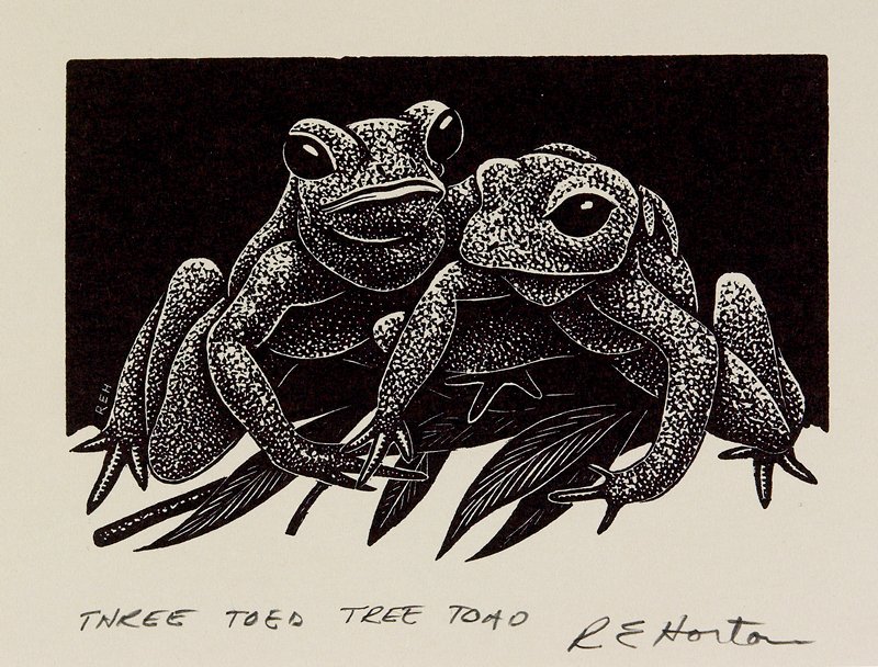 Three Toed Tree Toad, Richard E. Horton, 20th century