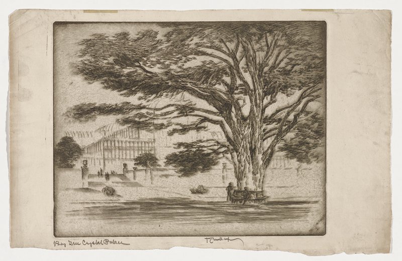 Big Tree, Crystal Palace, Joseph Pennell, c. 1905