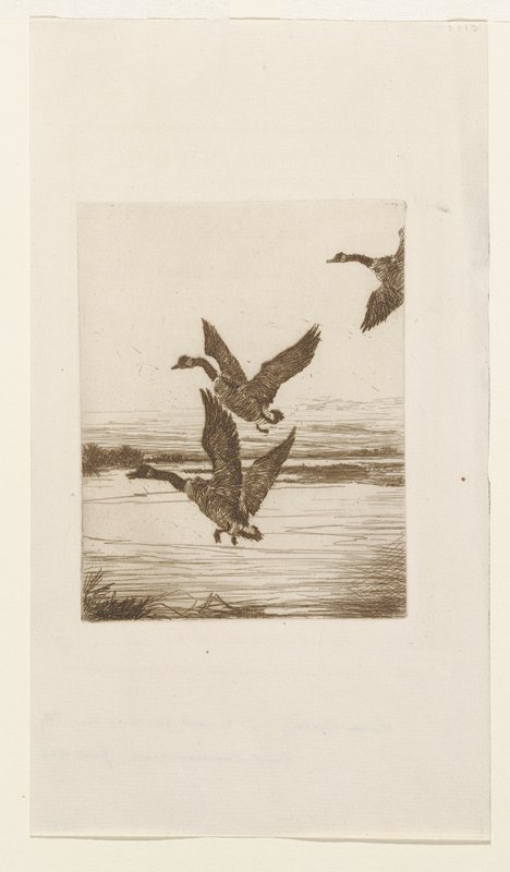 Ducks Rising, Frank Weston Benson, 1922