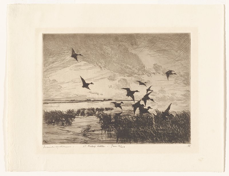 Ducks, Frank Weston Benson, 19th-20th century