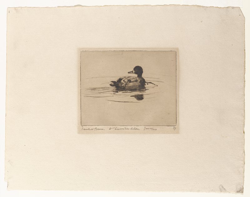 Duck in the Water, Frank Weston Benson, 1920