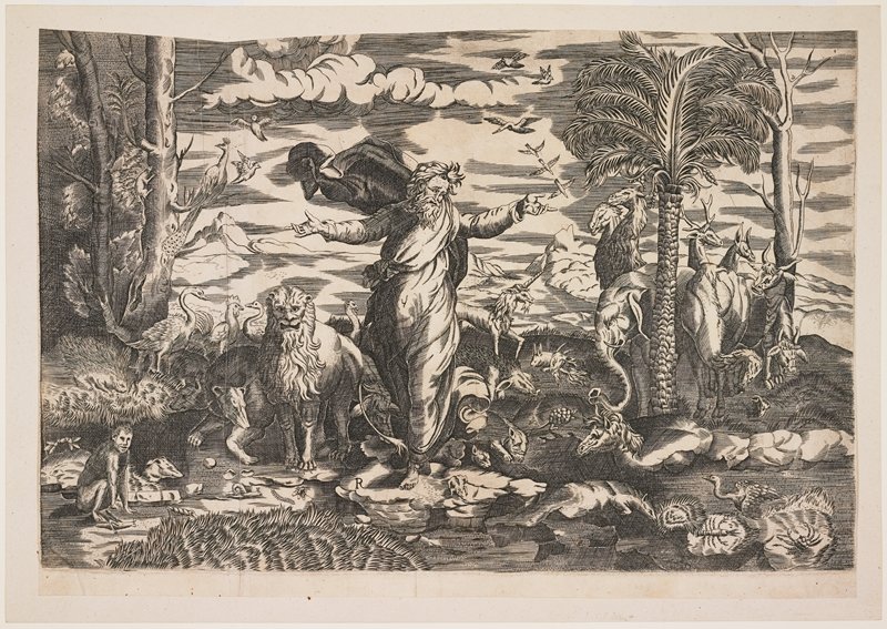 God Creating the Animals, After Raphael, c. 1550