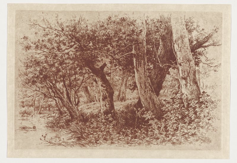 A Bit of Natural Park, Alexander Schilling, 19th century