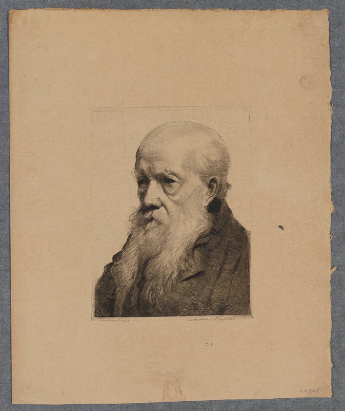 Antonio Viale, Cadwallader Washburn, 19th century