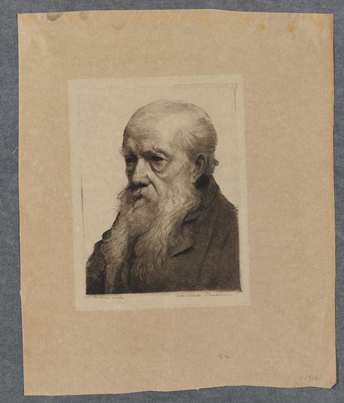 Portrait of Antonio Viole, Cadwallader Washburn, 20th century