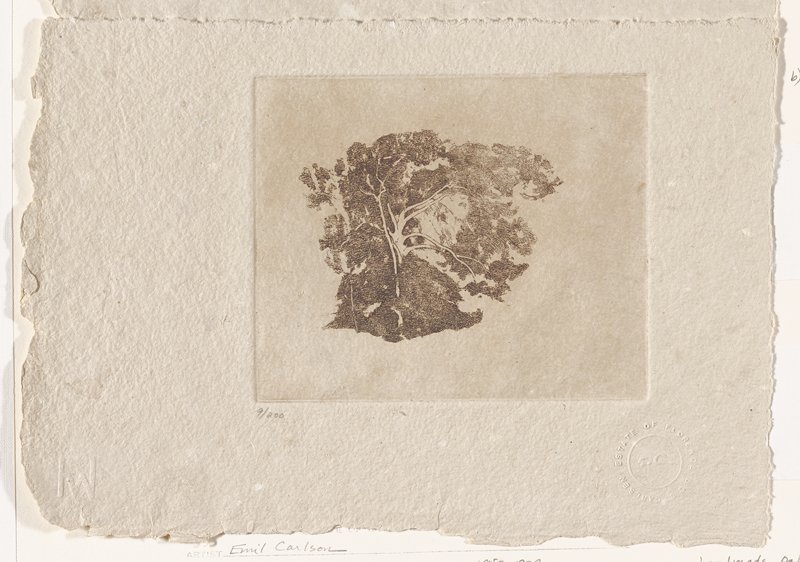 Tree Study, Søren Emil Carlsen, 19th century