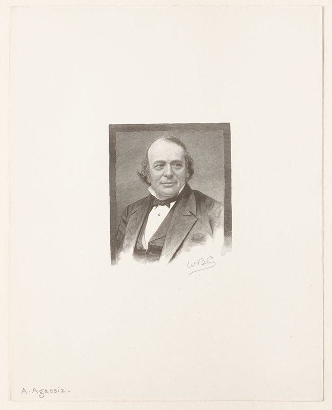 Portrait of Alexander Agassiz, William B. Closson, 19th century
