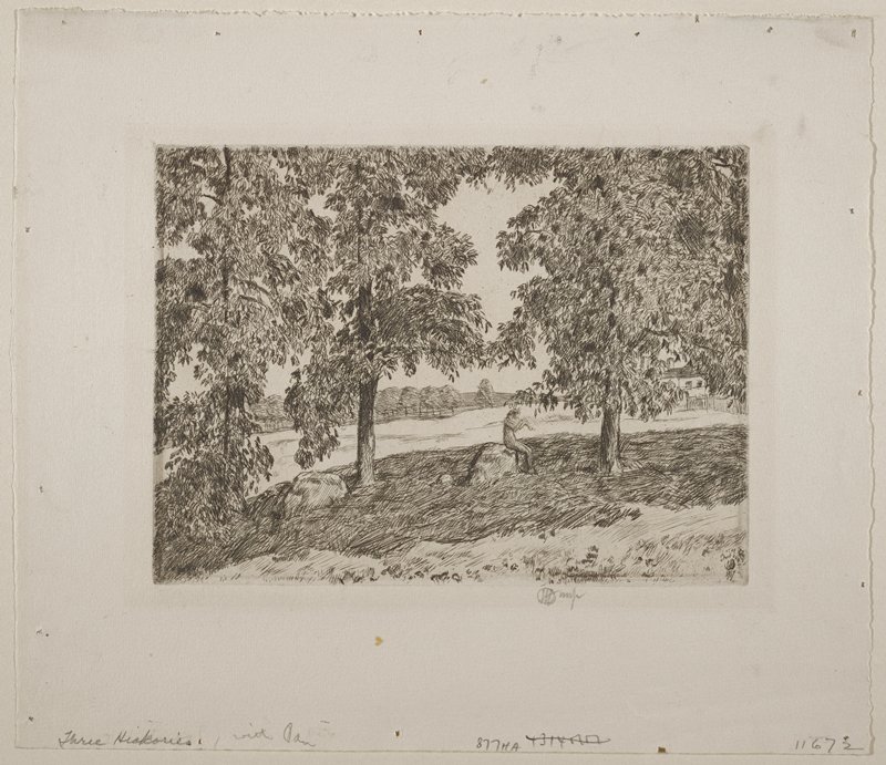 Three Hickories, Childe Hassam, 1917