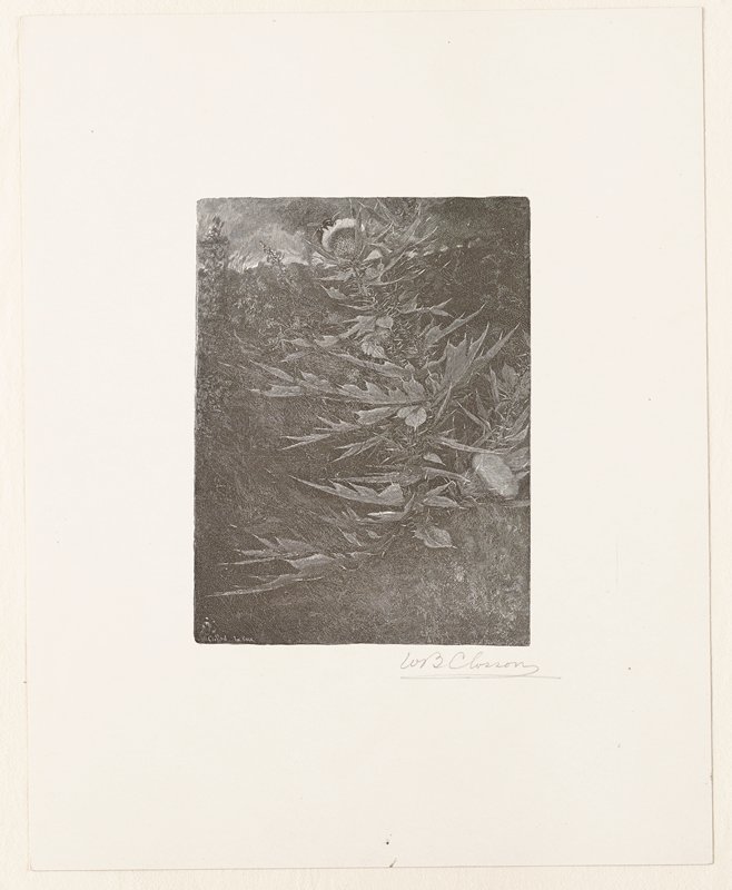 The Bee and the Thistle, William B. Closson, 19th century