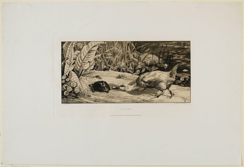 The Unknown, Félix Bracquemond, 1862