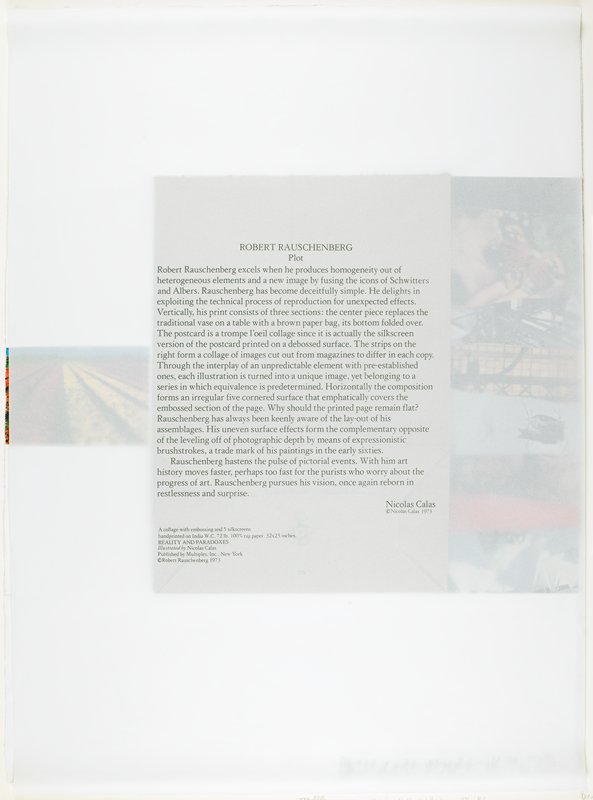 Plot, Robert Rauschenberg, 1973