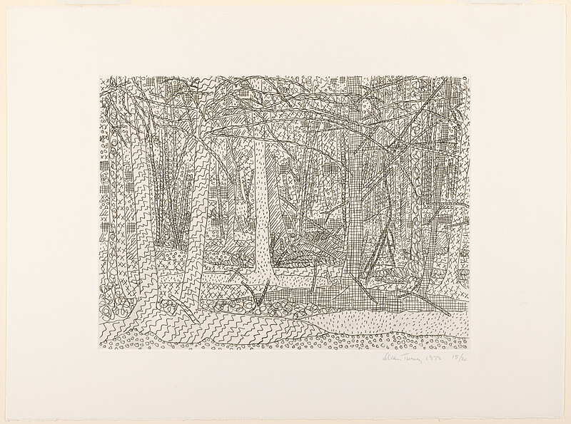 White Landscape, Alan Turner, 1978