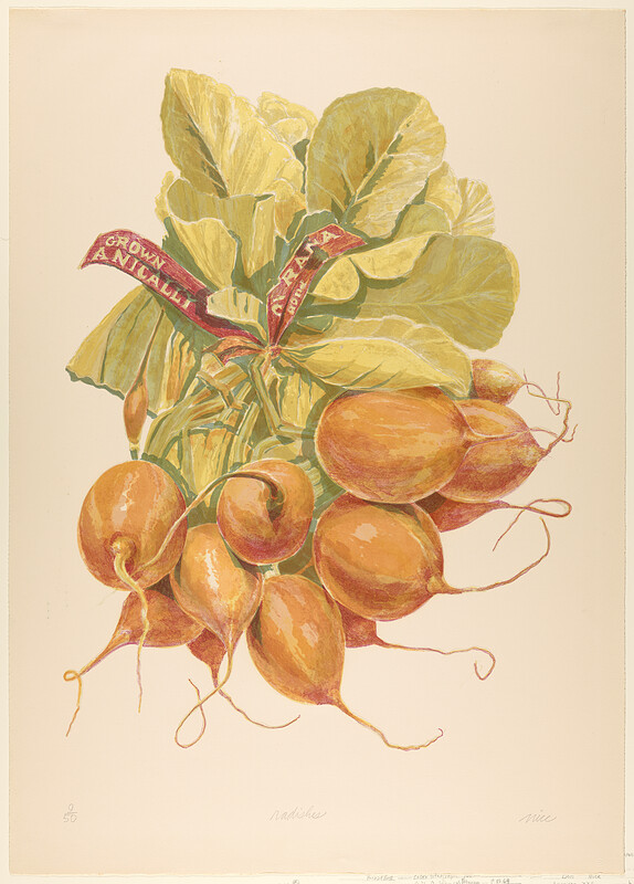 Radishes, Don Nice, 1972