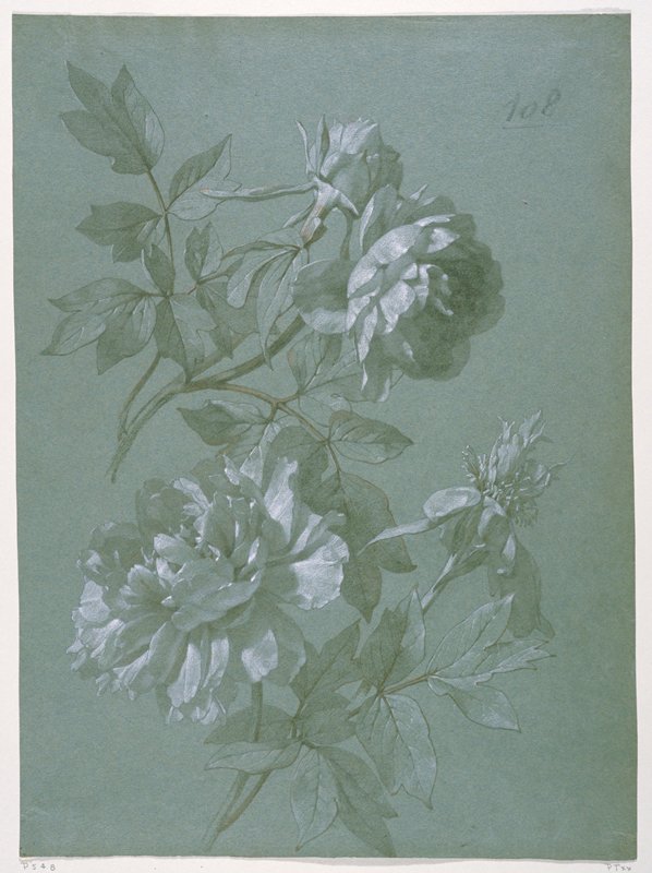 Three Goats, Claes Pieterz Berchem, 17th century