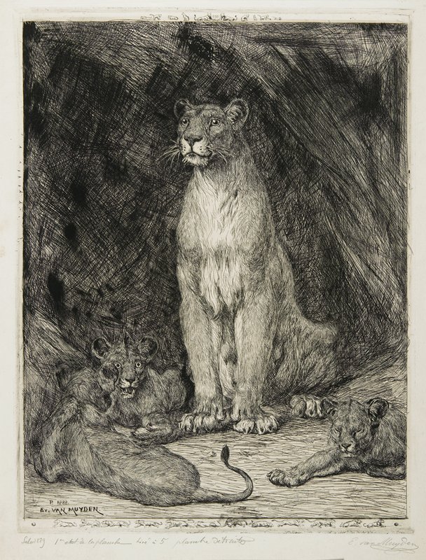 Lioness Seated and Three Cubs, Evert van Muyden, 1888