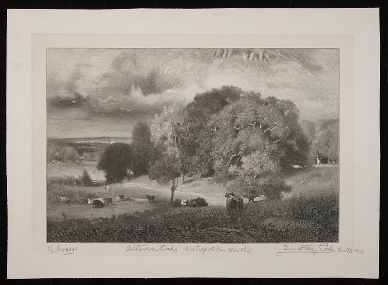 Autumn Oaks, Timothy Cole, 19th century