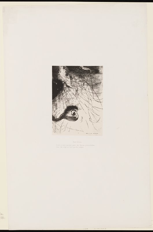 Il doit y avoir, quelque part. . ., plate IV from La tentation de Saint Antoine, Одилон Редон, 1889