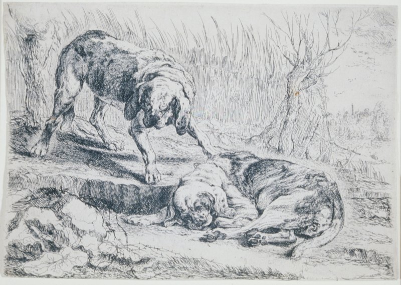 The Two Dogs, Jan Fyt, 17th Century