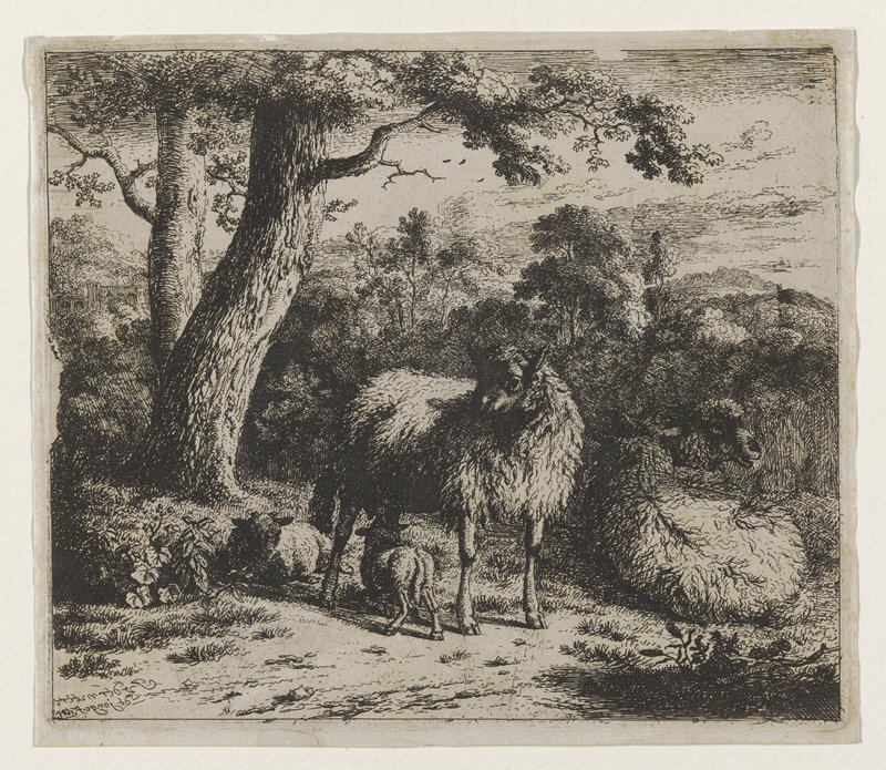 Ewe and Lamb, Jan van der Meer II, 1683