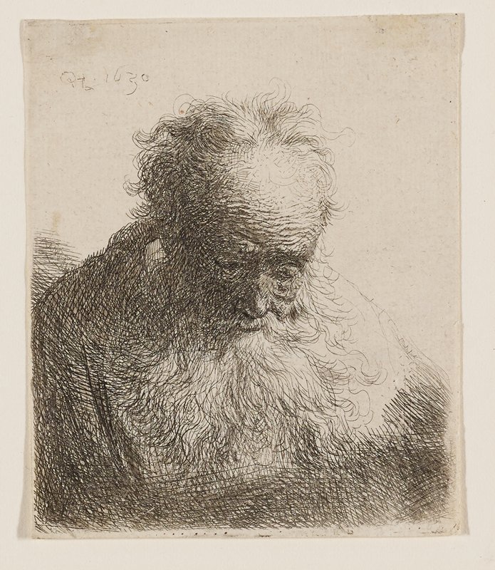 Old Man with Flowing Beard (head bowed forward, left shoulder unshaded) by Rembrandt van Rijn