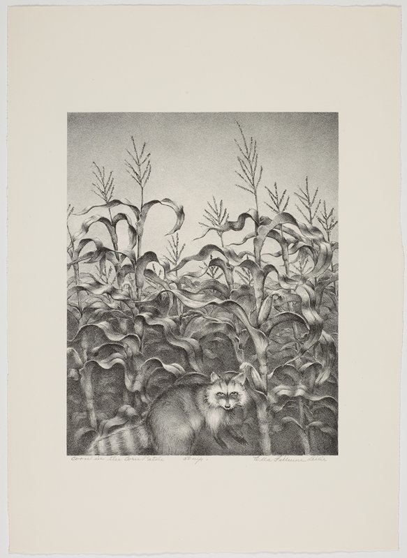 Racoon in the Corn Patch, Ella Fillmore Lillie, 20th century