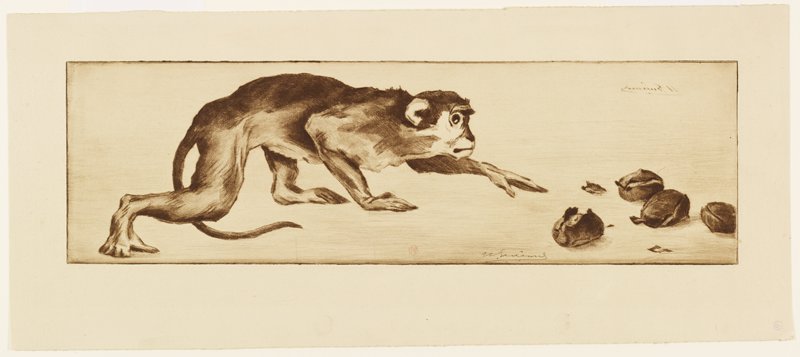 Monkey and Chestnuts, Henri-Charles Guérard, 19th century