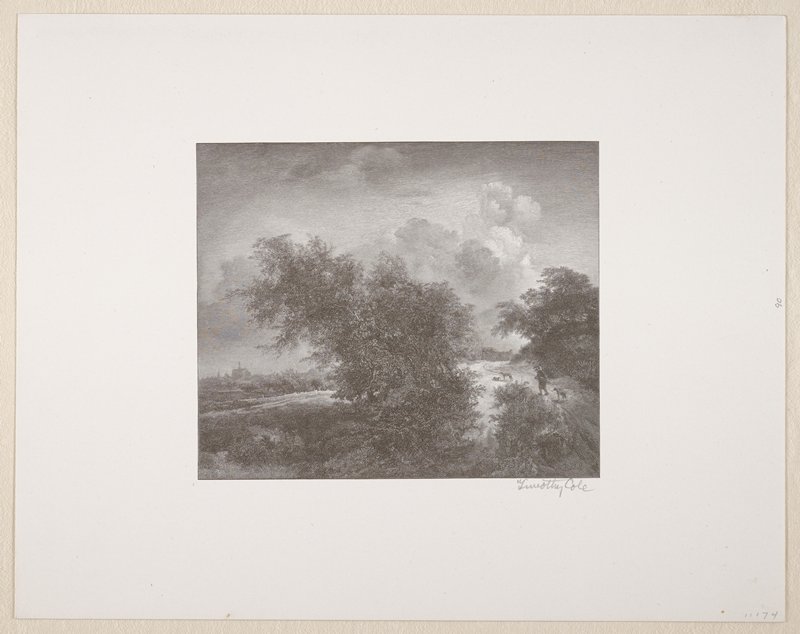 The Thicket, Timothy Cole, 1894