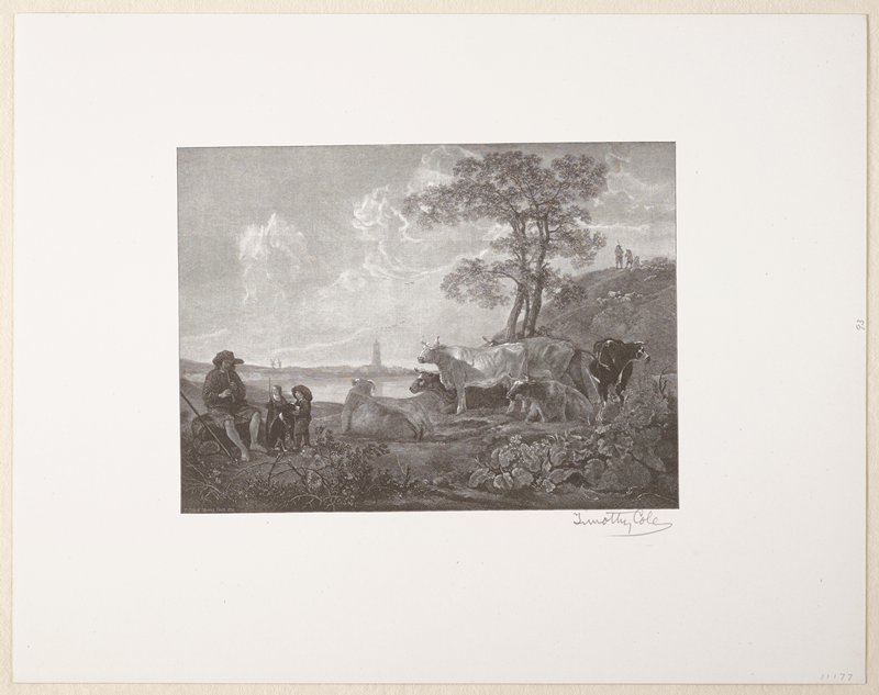 Untitled (Scene With Cattle), Timothy Cole, 1894
