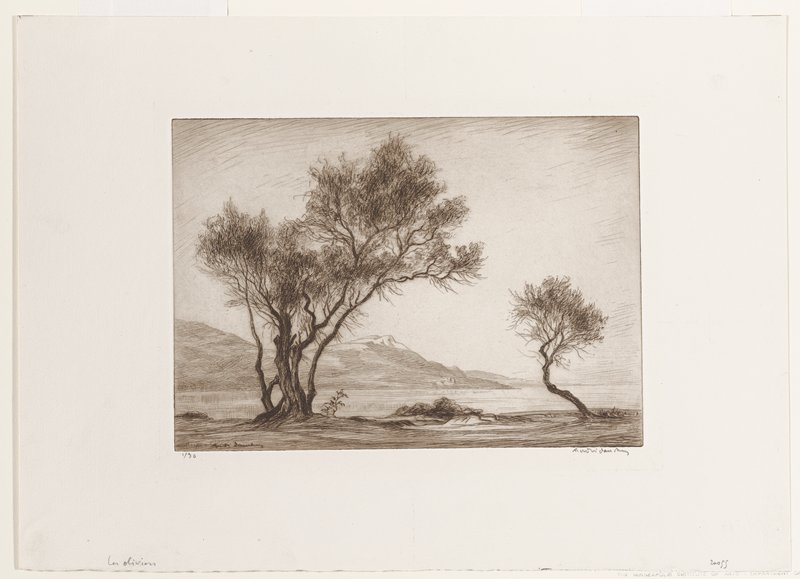 Les Oliviers, André Dauchez, 1929