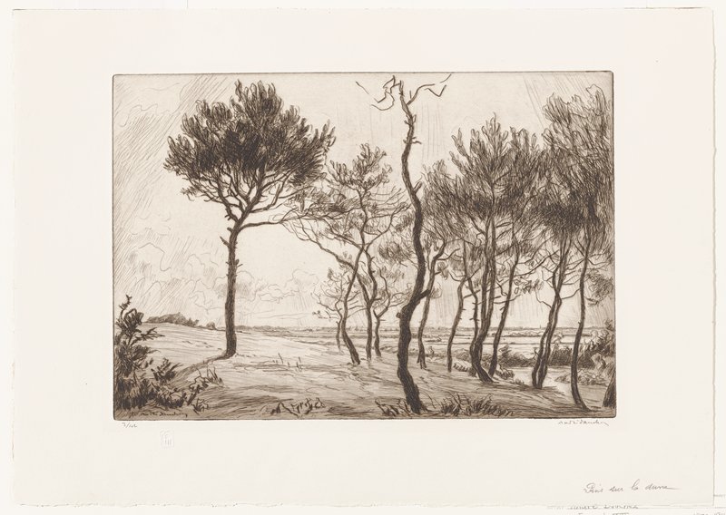 Les Pins sur la Dune, André Dauchez, 1931