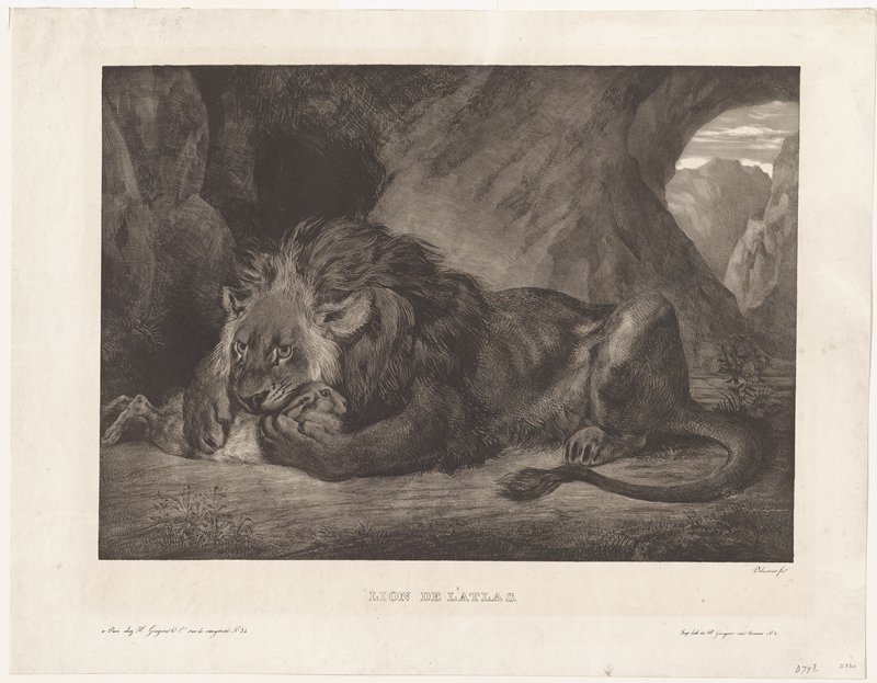 Lion of the Atlas Mountains, Эжен Делакруа, 1829–30