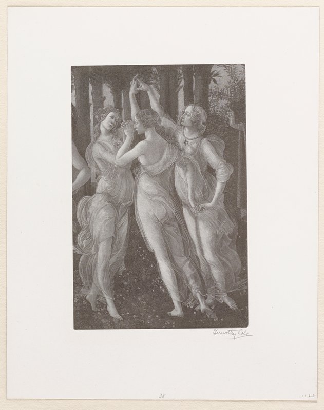 The Three Graces, Timothy Cole, 1890