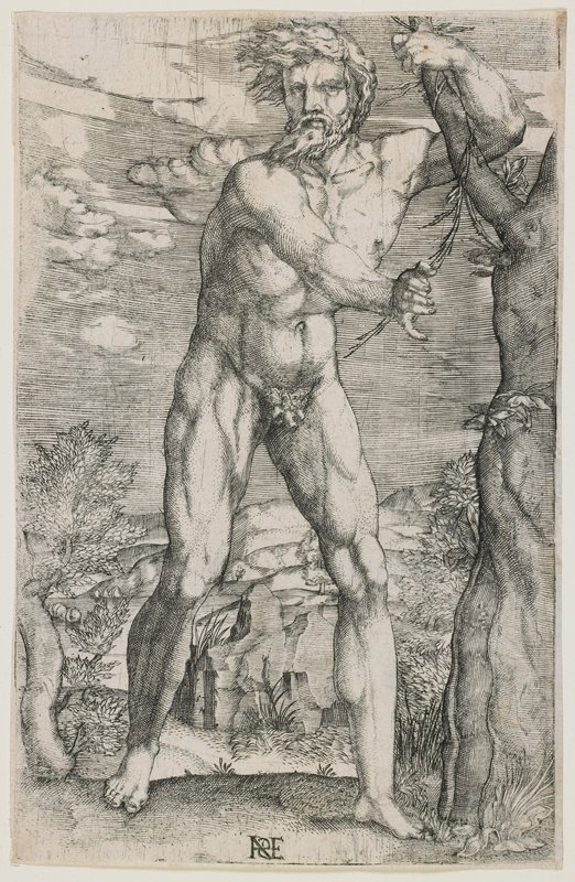 Adam, Johann Ladenspelder, 16th century