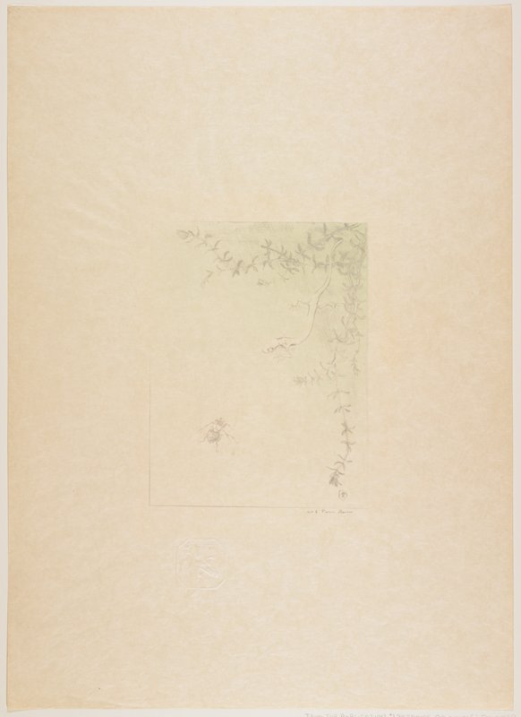 La salamandre (The Salamander), Pierre Roche, 1895