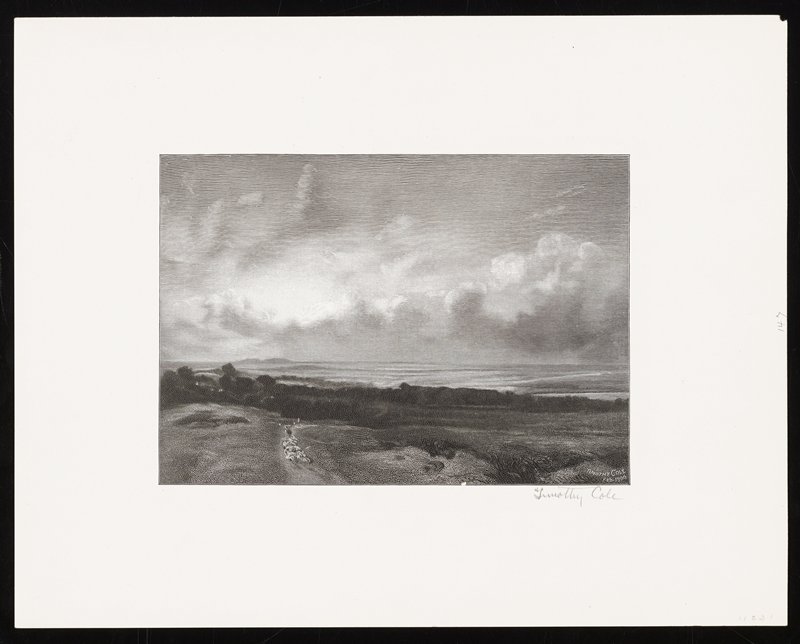Hampstead Heath, Timothy Cole, 1901