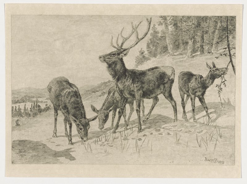 City of Refuge, James Fagan, 1888