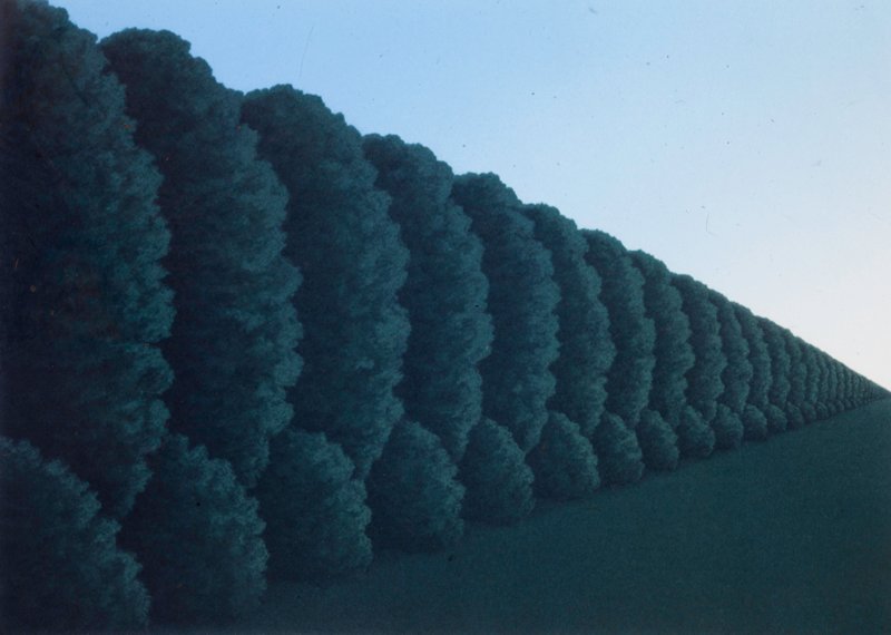 Forest View - Sunset, Bruce Lowney, 1971