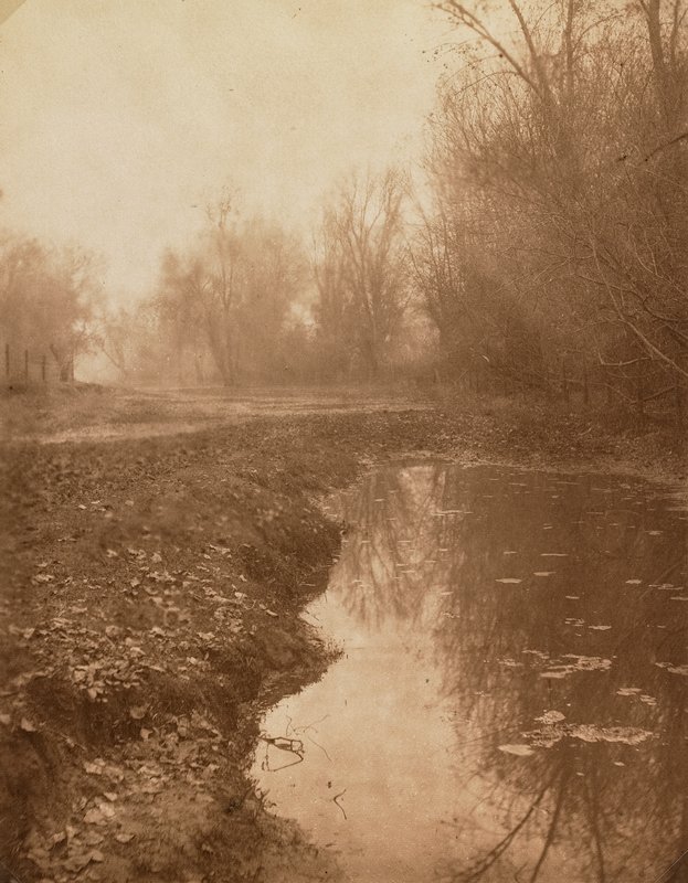 Untitled [water and bare trees], William E. Dassonville, c. 1900