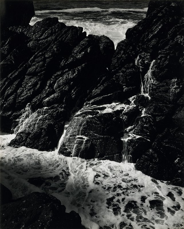 Point Lobos (Vicinity North Wall), California, Minor White, May 27, 1947