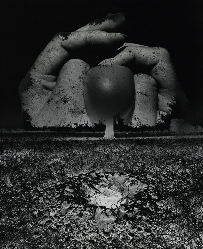 Untitled, Jerry N. Uelsmann, 1968