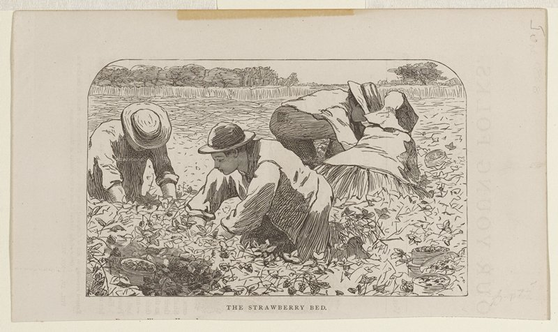 The Strawberry Bed, Winslow Homer, 1868