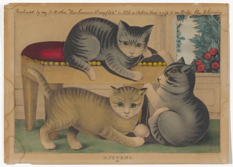 Kittens, Kellogg and Cumstock, 19th century