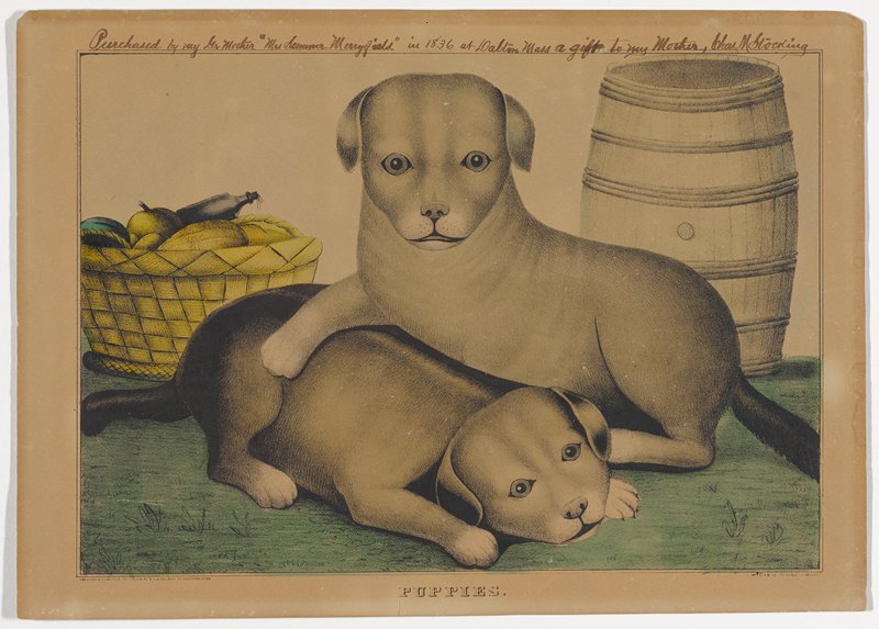 Puppies, Kellogg and Cumstock, 19th century
