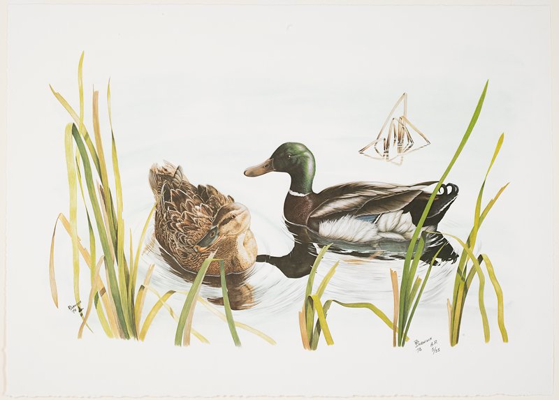 Mallards, Al Dornisch, 1978