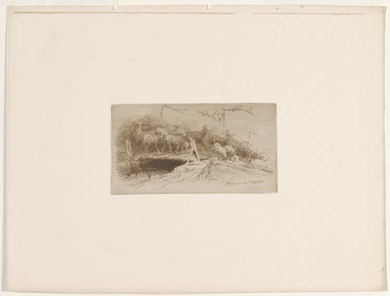 Flock of Sheep, John Austin Sands Monks, 1884