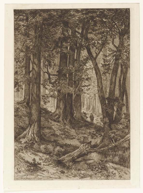 Interior of California Forest, Mary Nimmo Moran, 1888