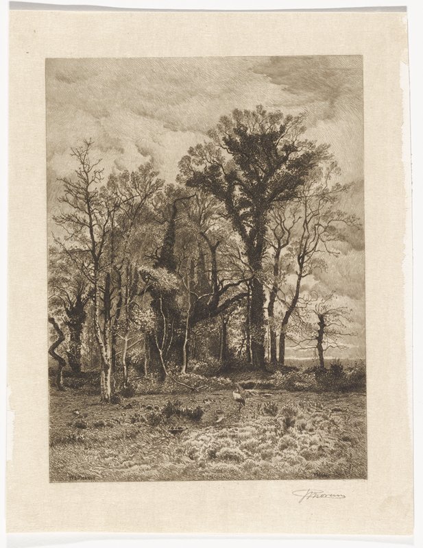 The Edge of the Swamp, Peter Moran, 19th century