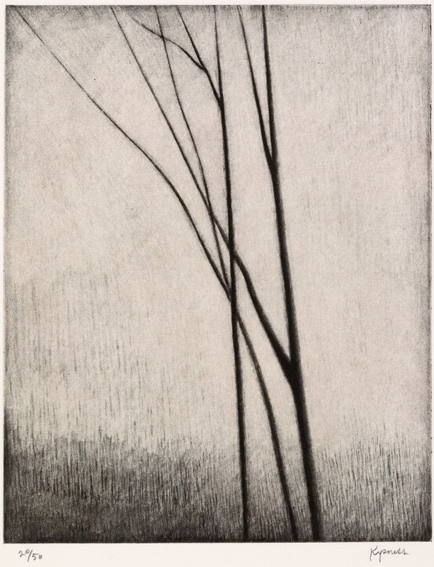 Without World, Robert Kipness, 2000